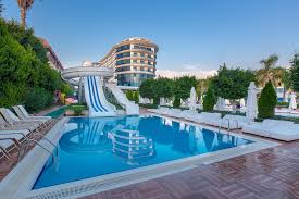 Company Introduction